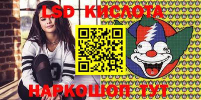 кокс Кингисепп