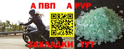 кокс Кингисепп