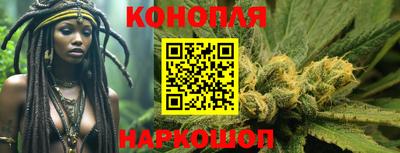 кокс Кингисепп