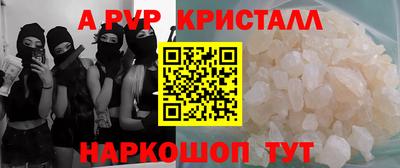кокс Кингисепп
